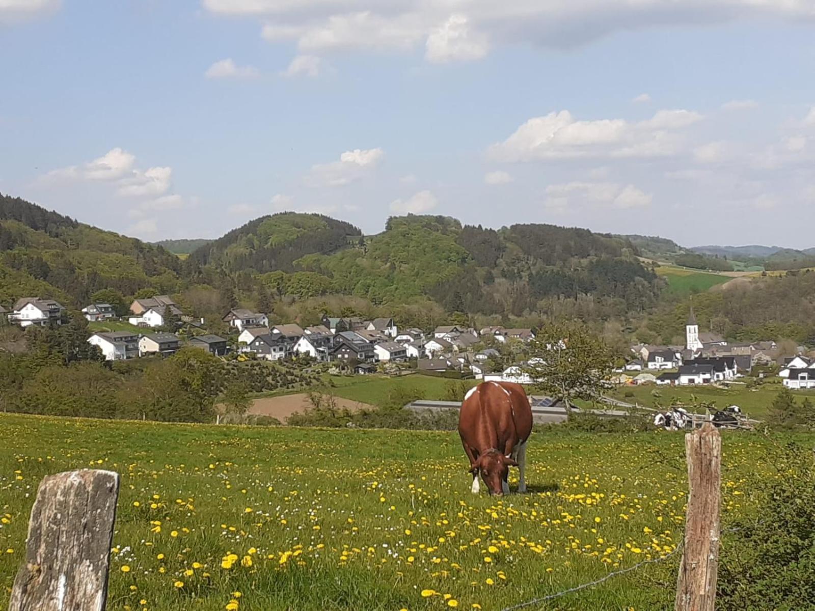 Ferienwohnungen Sternenhimmel Whg 1 Medebach Exterior foto